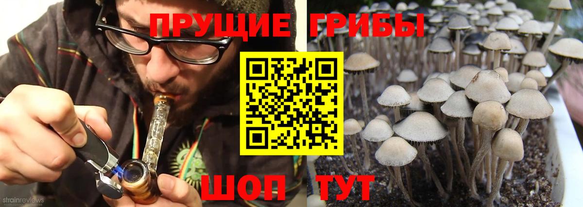 Наро-Фоминск  Галлюциногенные грибы GOLDEN TEACHER  Вход с VPN 